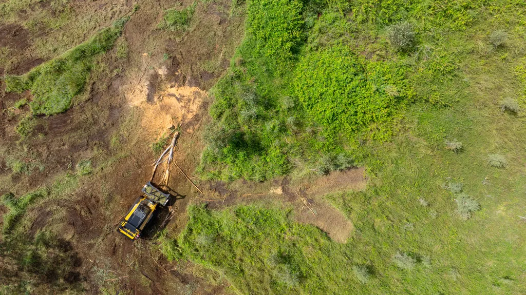 Aerial view of Yeppoon and Capricorn Coast vegetation management work